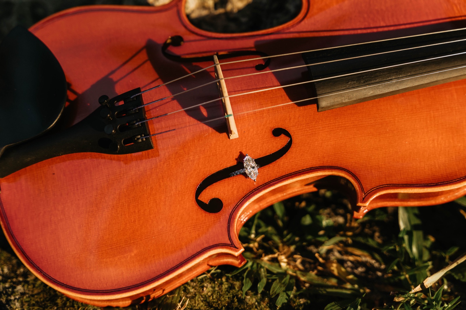 Violin with engagement ring for Miami Wedding Music